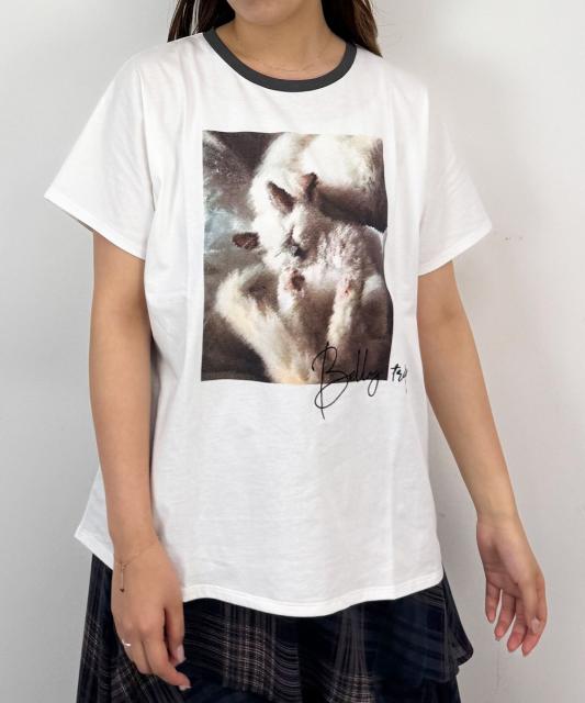 フレンチスリーブ猫Tシャツ