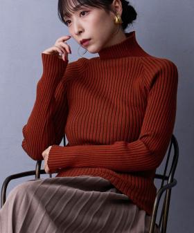 プレーティングリブタートル